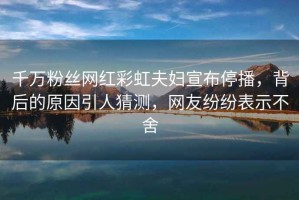 千萬粉絲網(wǎng)紅彩虹夫婦宣布停播，背后的原因引人猜測，網(wǎng)友紛紛表示不舍