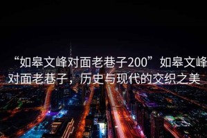 “如皋文峰對面老巷子200”如皋文峰對面老巷子，歷史與現代的交織之美