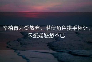 辛柏青為愛放棄，潛伏角色拱手相讓，朱媛媛感激不已