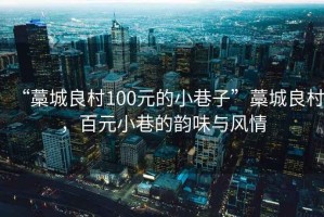 “藁城良村100元的小巷子”藁城良村，百元小巷的韻味與風(fēng)情