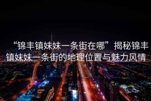 “錦豐鎮妹妹一條街在哪”揭秘錦豐鎮妹妹一條街的地理位置與魅力風情