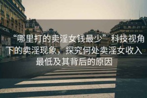 “哪里打的賣淫女錢最少”科技視角下的賣淫現(xiàn)象，探究何處賣淫女收入最低及其背后的原因