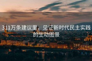 311萬條建議里，見證新時代民主實踐的生動圖景