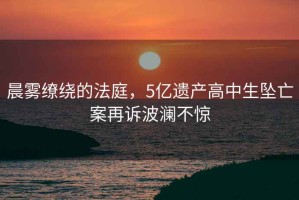 晨霧繚繞的法庭，5億遺產(chǎn)高中生墜亡案再訴波瀾不驚