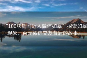 “100塊錢附近人微信如皋”探索如皋現象，百元微信交友背后的故事』