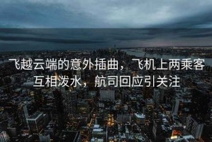 飛越云端的意外插曲，飛機上兩乘客互相潑水，航司回應引關注