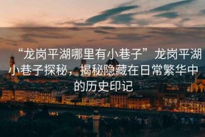 “龍崗平湖哪里有小巷子”龍崗平湖小巷子探秘，揭秘隱藏在日常繁華中的歷史印記