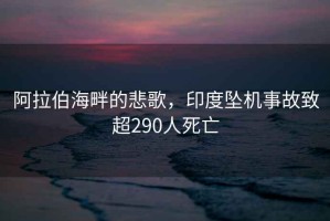 阿拉伯海畔的悲歌，印度墜機事故致超290人死亡
