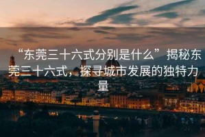 “東莞三十六式分別是什么”揭秘東莞三十六式，探尋城市發展的獨特力量