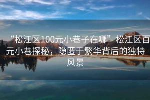 “松江區100元小巷子在哪”松江區百元小巷探秘，隱匿于繁華背后的獨特風景