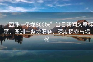 “園洲一條龍800塊”當日新聞文章標題，園洲一條龍服務，深度探索與揭秘