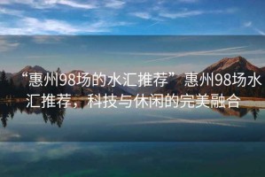 “惠州98場的水匯推薦”惠州98場水匯推薦，科技與休閑的完美融合