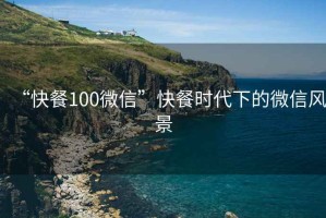 “快餐100微信”快餐時代下的微信風景