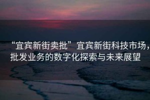 “宜賓新街賣批”宜賓新街科技市場(chǎng)，批發(fā)業(yè)務(wù)的數(shù)字化探索與未來(lái)展望