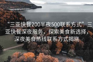 “三亞快餐200半夜500聯系方式”三亞快餐深夜服務，探索美食新選擇，深夜美食熱線聯系方式揭曉