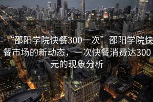 “邵陽學院快餐300一次”邵陽學院快餐市場的新動態，一次快餐消費達300元的現象分析