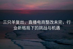 三只羊復(fù)出，直播電商整改未完，行業(yè)新格局下的挑戰(zhàn)與機(jī)遇
