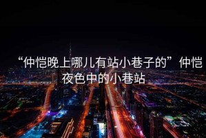 “仲愷晚上哪兒有站小巷子的”仲愷夜色中的小巷站