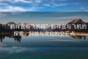 “鶴祥宮有飛機嗎”鶴祥宮與飛機的探索，科技與文化的交匯點