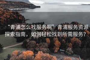 “青浦怎么找服務啊”青浦服務資源探索指南，如何輕松找到所需服務？