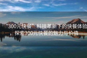“300元快餐”科技革新下的快餐體驗，探索300元快餐的魅力與價值