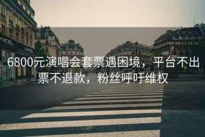 6800元演唱會套票遇困境，平臺不出票不退款，粉絲呼吁維權