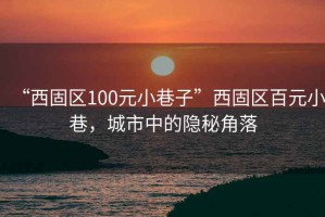“西固區100元小巷子”西固區百元小巷，城市中的隱秘角落