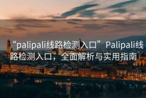 “palipali線路檢測入口”Palipali線路檢測入口，全面解析與實用指南