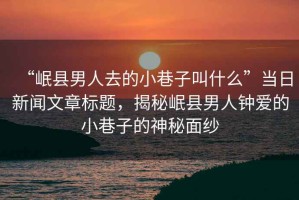 “岷縣男人去的小巷子叫什么”當日新聞文章標題，揭秘岷縣男人鐘愛的小巷子的神秘面紗