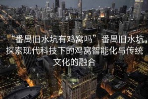 “番禺舊水坑有雞窩嗎”番禺舊水坑，探索現(xiàn)代科技下的雞窩智能化與傳統(tǒng)文化的融合
