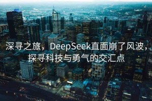深尋之旅，DeepSeek直面崩了風波，探尋科技與勇氣的交匯點
