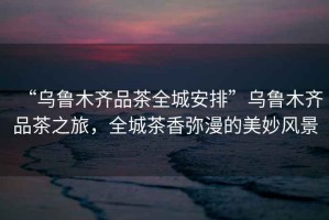 “烏魯木齊品茶全城安排”烏魯木齊品茶之旅，全城茶香彌漫的美妙風(fēng)景