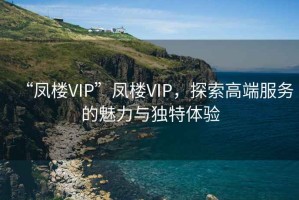 “鳳樓VIP”鳳樓VIP，探索高端服務的魅力與獨特體驗