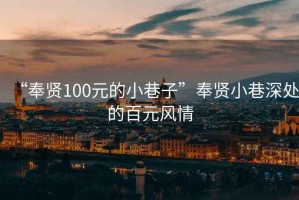“奉賢100元的小巷子”奉賢小巷深處的百元風情