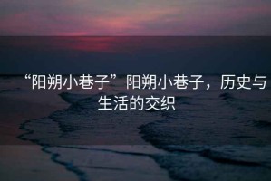 “陽朔小巷子”陽朔小巷子，歷史與生活的交織