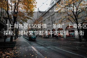 “上海各區150愛情一條街”上海各區探秘，揭秘繁華都市中的愛情一條街