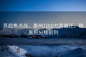 蘇超焦點戰，泰州1比0力克宿遷，穩居積分榜前列