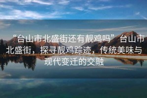 “臺山市北盛街還有靚雞嗎”臺山市北盛街，探尋靚雞蹤跡，傳統(tǒng)美味與現(xiàn)代變遷的交融