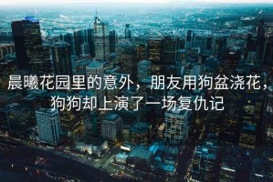 晨曦花園里的意外，朋友用狗盆澆花，狗狗卻上演了一場復仇記