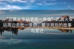 “武昌火車站賣批一條街”武昌火車站周邊賣批一條街，繁華背后的故事與變遷