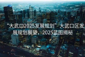 “大武口2025發展規劃”大武口區發展規劃展望，2025藍圖揭秘