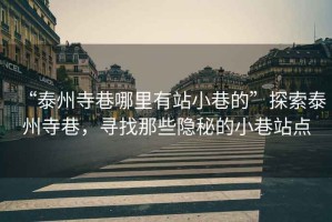 “泰州寺巷哪里有站小巷的”探索泰州寺巷，尋找那些隱秘的小巷站點