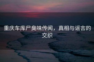 重慶車庫尸臭味傳聞，真相與謠言的交織