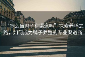 “怎么當鴨子有渠道嗎”探索養鴨之路，如何成為鴨子養殖的專業渠道商