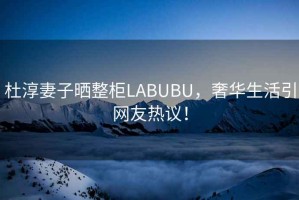 杜淳妻子曬整柜LABUBU，奢華生活引網友熱議！