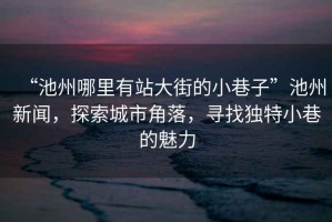 “池州哪里有站大街的小巷子”池州新聞，探索城市角落，尋找獨特小巷的魅力