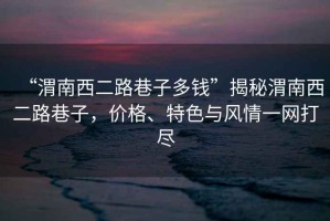 “渭南西二路巷子多錢”揭秘渭南西二路巷子，價格、特色與風情一網打盡