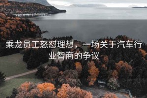 乘龍員工怒懟理想，一場關于汽車行業智商的爭議