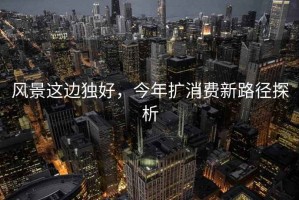 風(fēng)景這邊獨(dú)好，今年擴(kuò)消費(fèi)新路徑探析