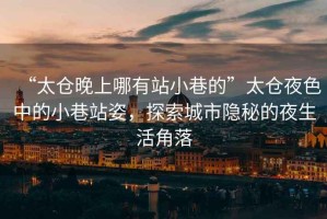 “太倉晚上哪有站小巷的”太倉夜色中的小巷站姿，探索城市隱秘的夜生活角落